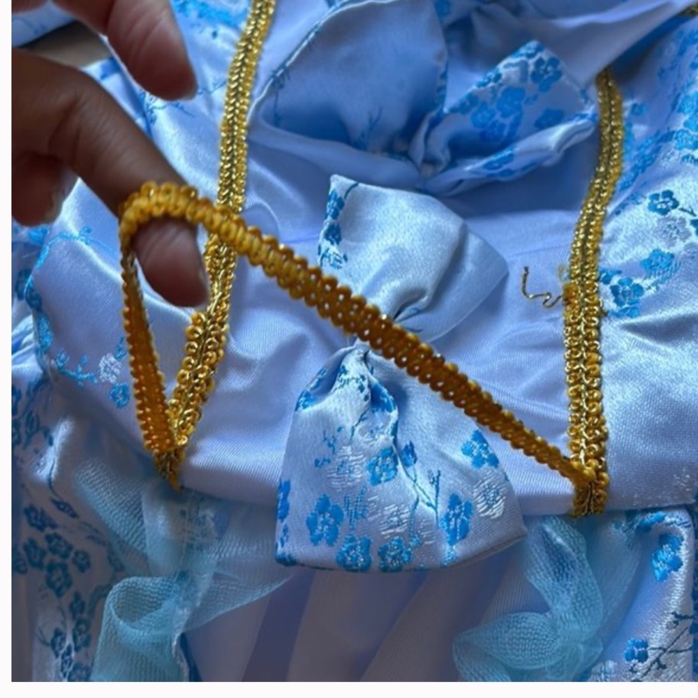 - Marie Antoinette costume - Picture 4 of 8